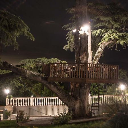 Villa D'Arte Agri Resort Pontassieve Dış mekan fotoğraf