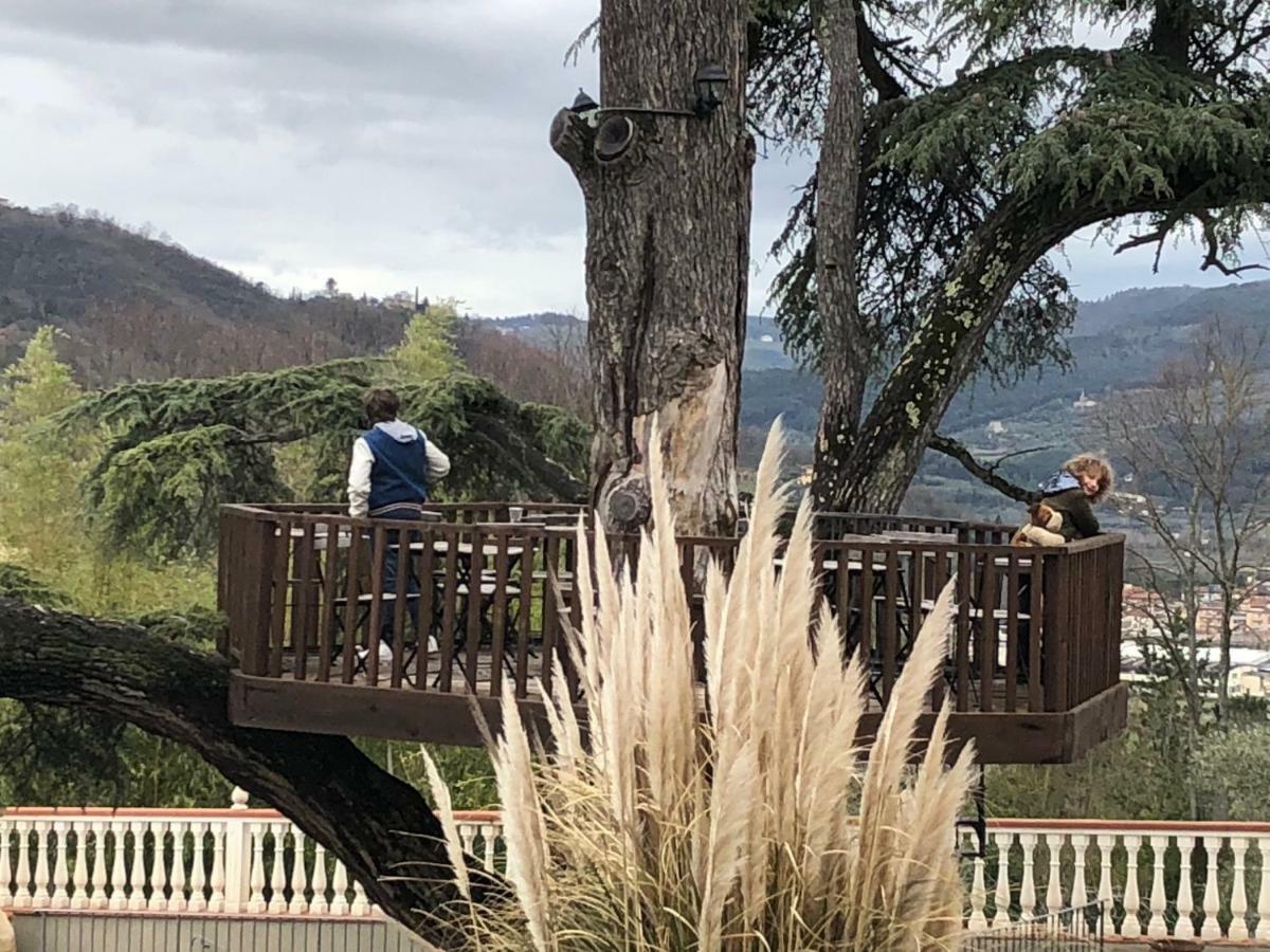 Villa D'Arte Agri Resort Pontassieve Dış mekan fotoğraf
