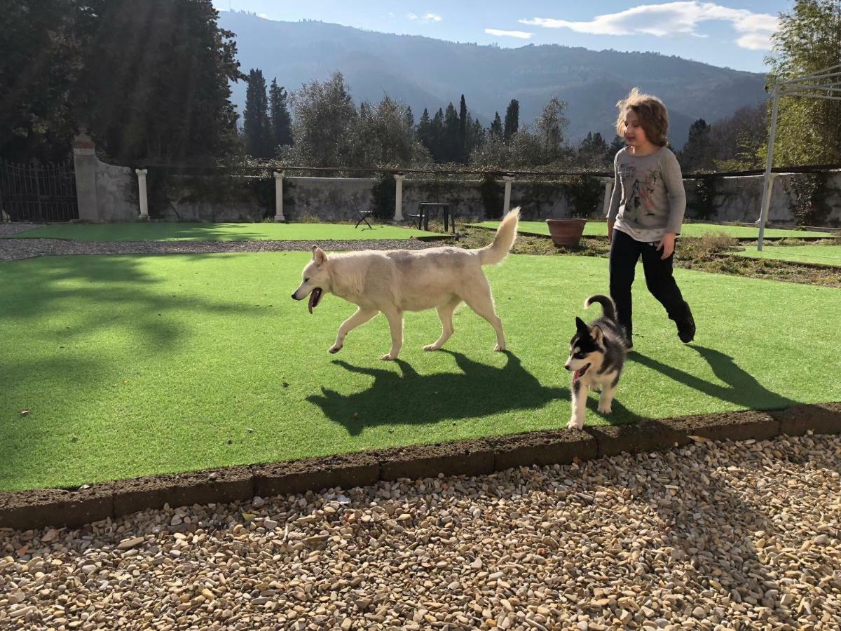 Villa D'Arte Agri Resort Pontassieve Dış mekan fotoğraf